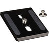 Camera Plate