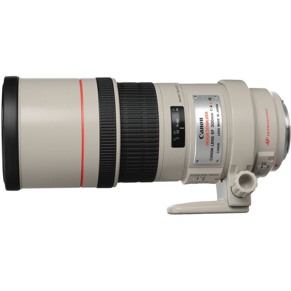 Canon EF 300mm f/4L IS USM Lens image 1