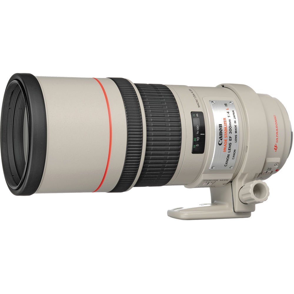 Canon EF 300mm f/4L IS USM Lens image 0