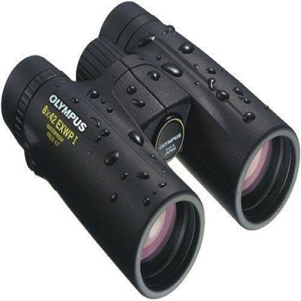 Olympus 18799 EXWP I 8x42 Binocular (Black) image 0