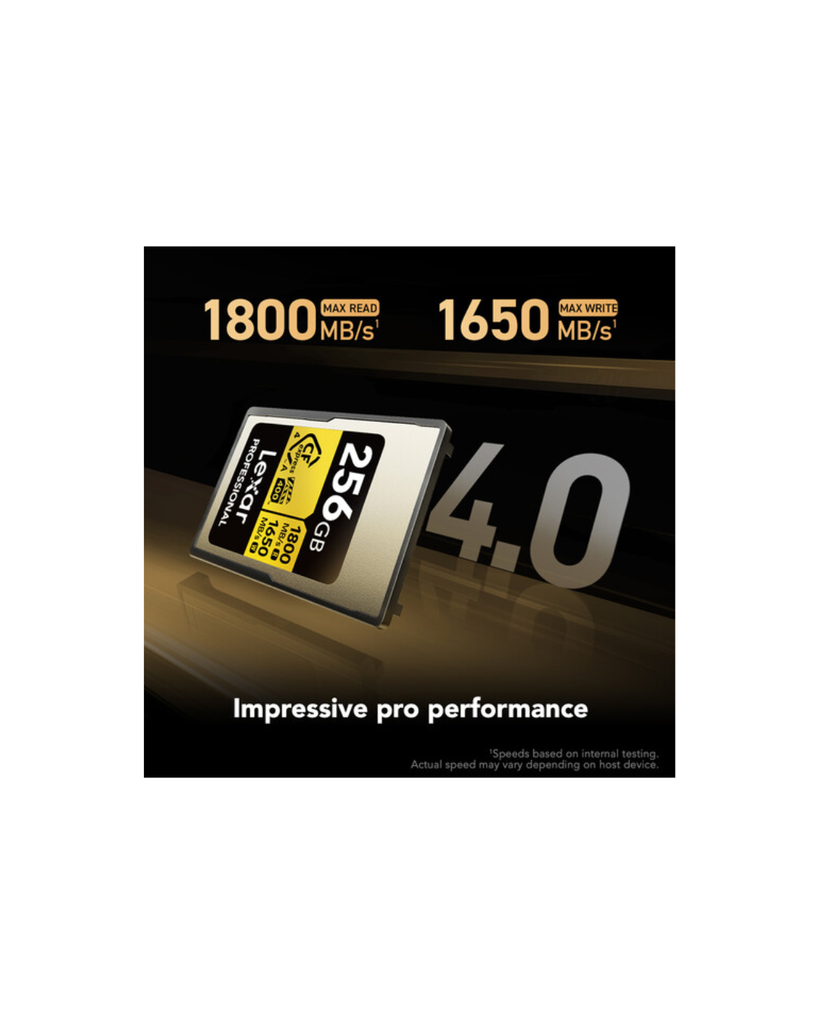 Lexar 256GB Professional SILVER CFexpress 4.0 Type A Memory Card
