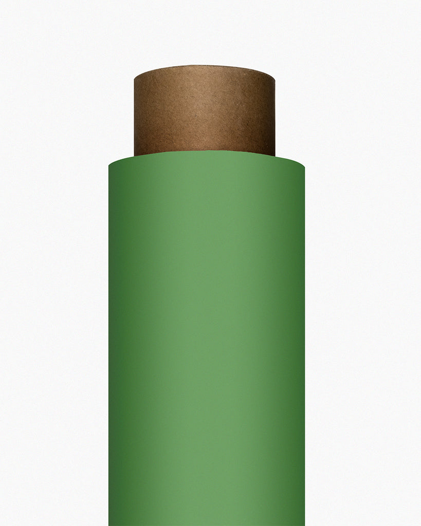 IndusLite Chroma Green Paper Backdrop Roll (INDL-13) image 1