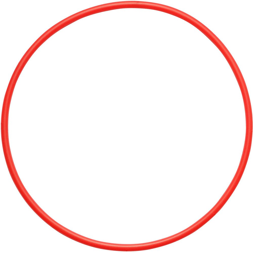 Olympus O-Ring for PT-058 Underwater Housing image 0