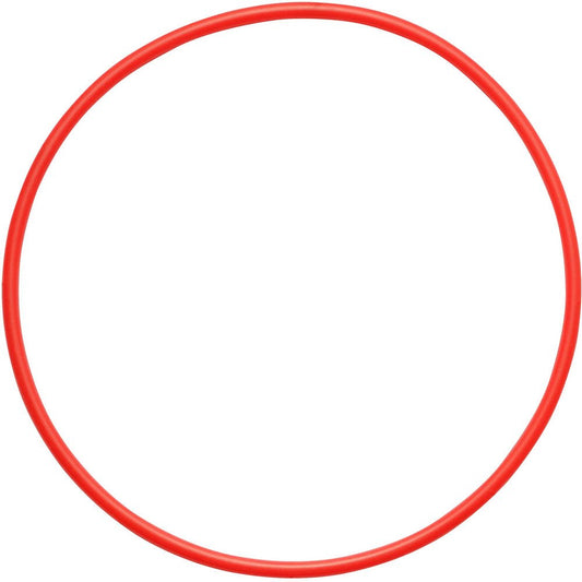Olympus O-Ring for PT-058 Underwater Housing image 0