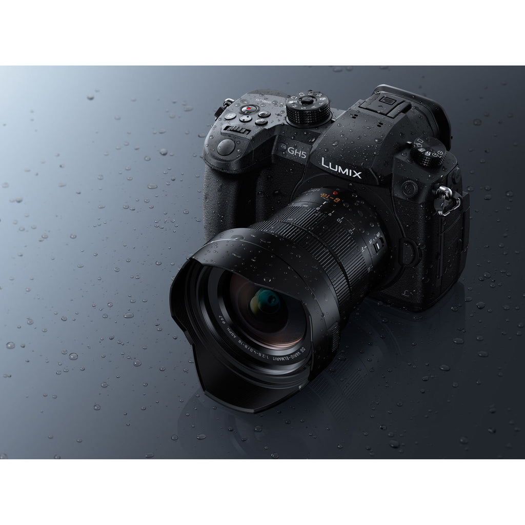 Panasonic Leica DG Vario-Elmarit 8-18mm f/2.8-4 ASPH. Lens image 4