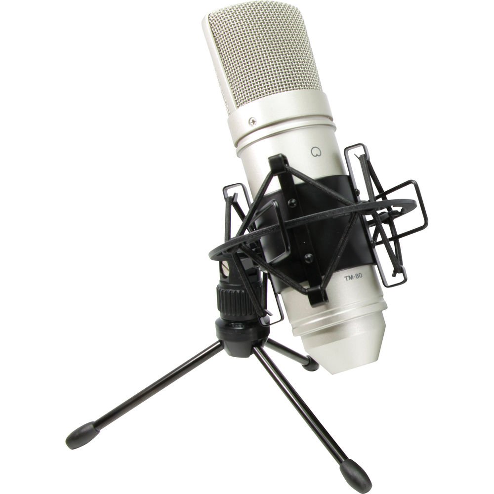 TASCAM TM-80 Large-Diaphragm Cardioid Condenser Microphone image 2
