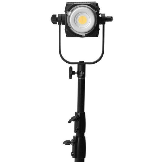 Nanlite FS-150B Bi-Color LED Monolight image 1