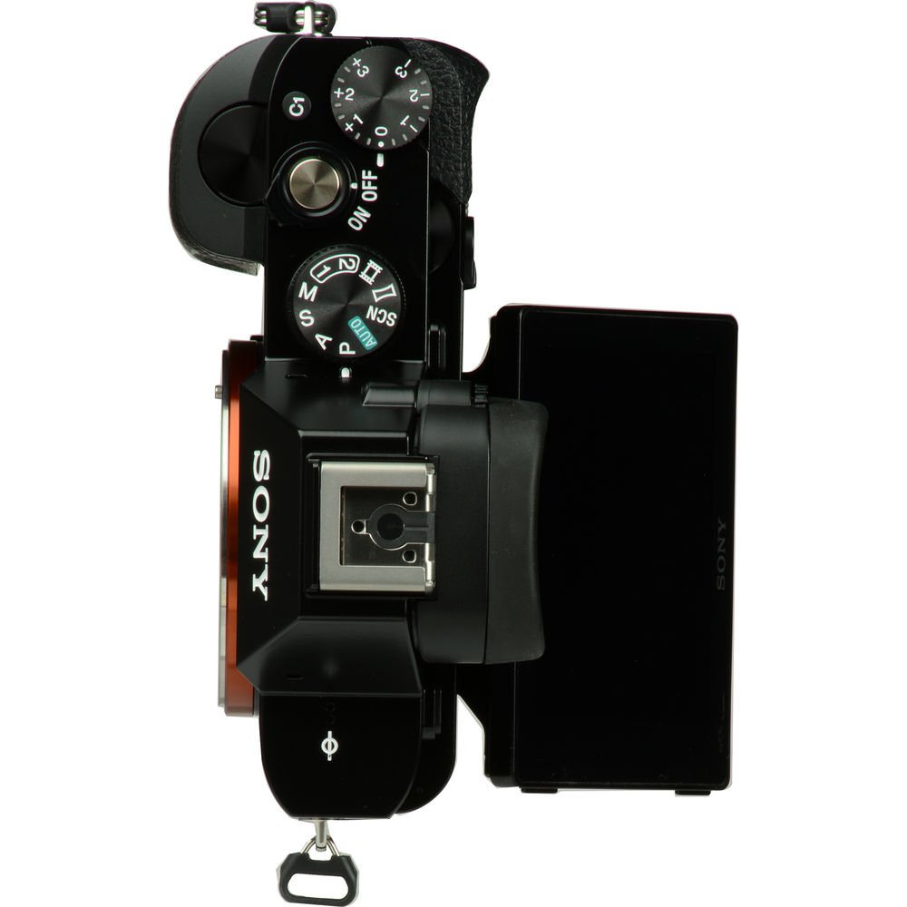 Sony Alpha a7S Mirrorless Digital Camera image 8