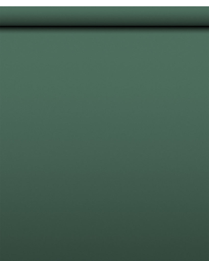 IndusLite Dark Green Paper Backdrop Roll (INDL-22) image 1