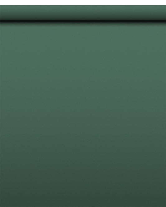 IndusLite Dark Green Paper Backdrop Roll (INDL-22) image 1