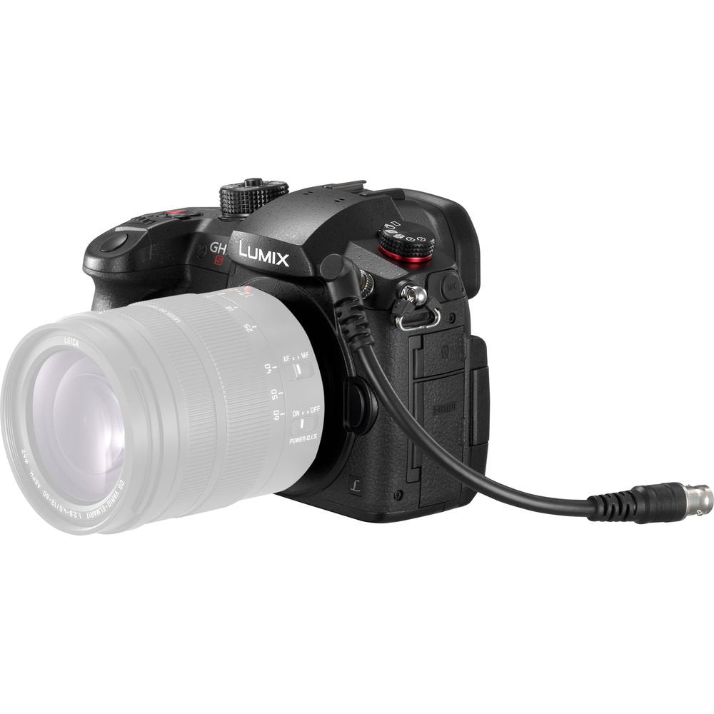 Panasonic Lumix GH5S Mirrorless Camera image 2