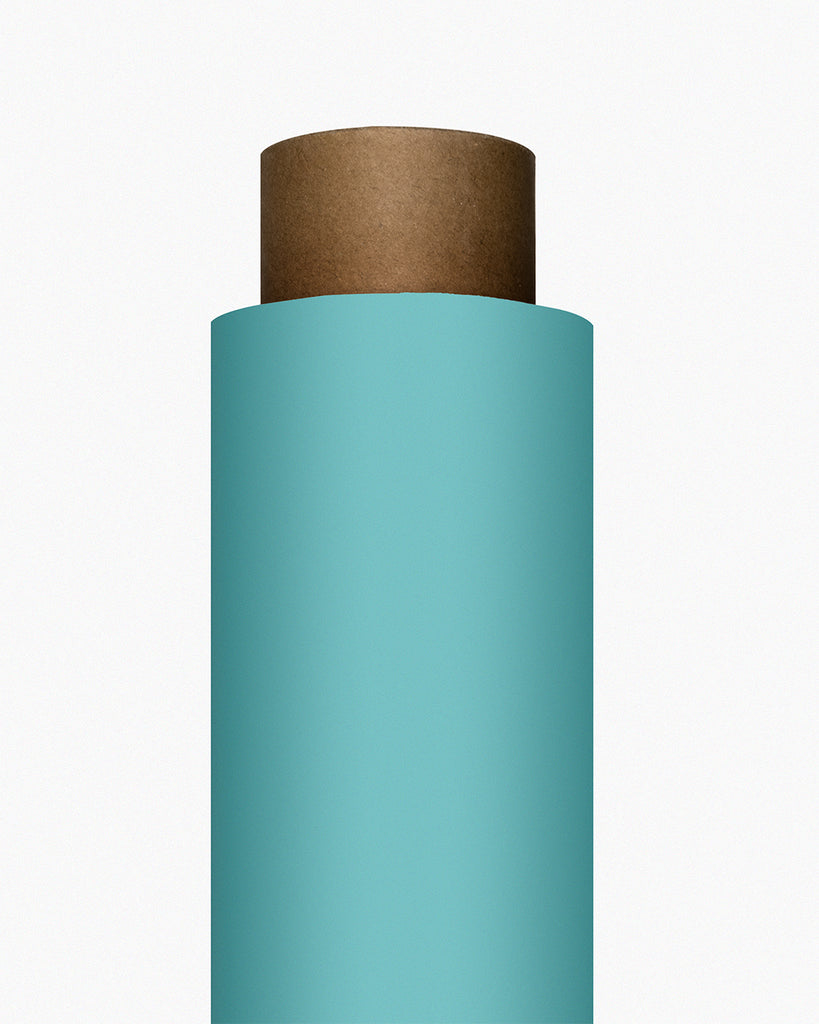 IndusLite Teal Blue Paper Backdrop Roll (INDL-30) image 1