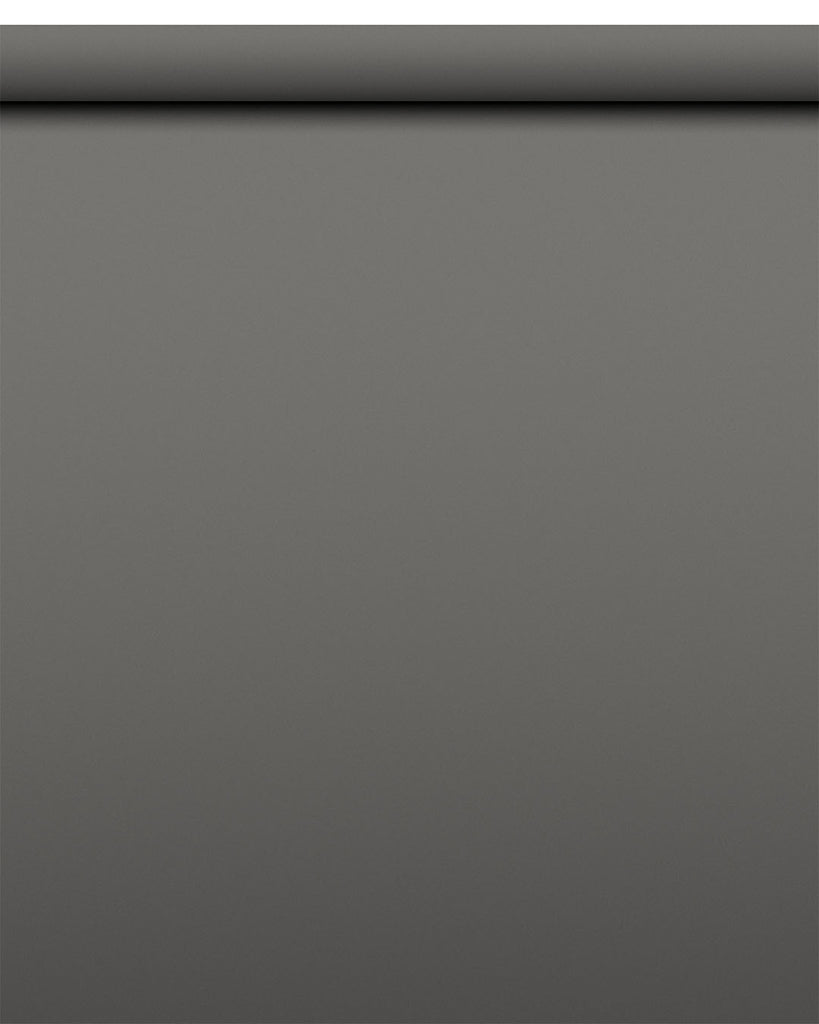 IndusLite Neutral Gray Paper Backdrop Roll (INDL-20) image 1