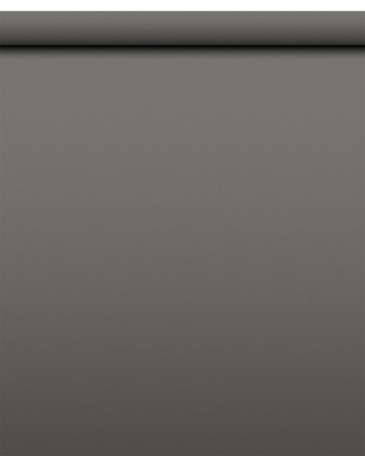 IndusLite Neutral Gray Paper Backdrop Roll (INDL-20) image 1