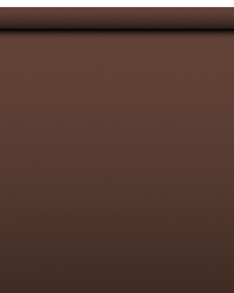 IndusLite Choco Brown Paper Backdrop Roll (INDL-06) image 1