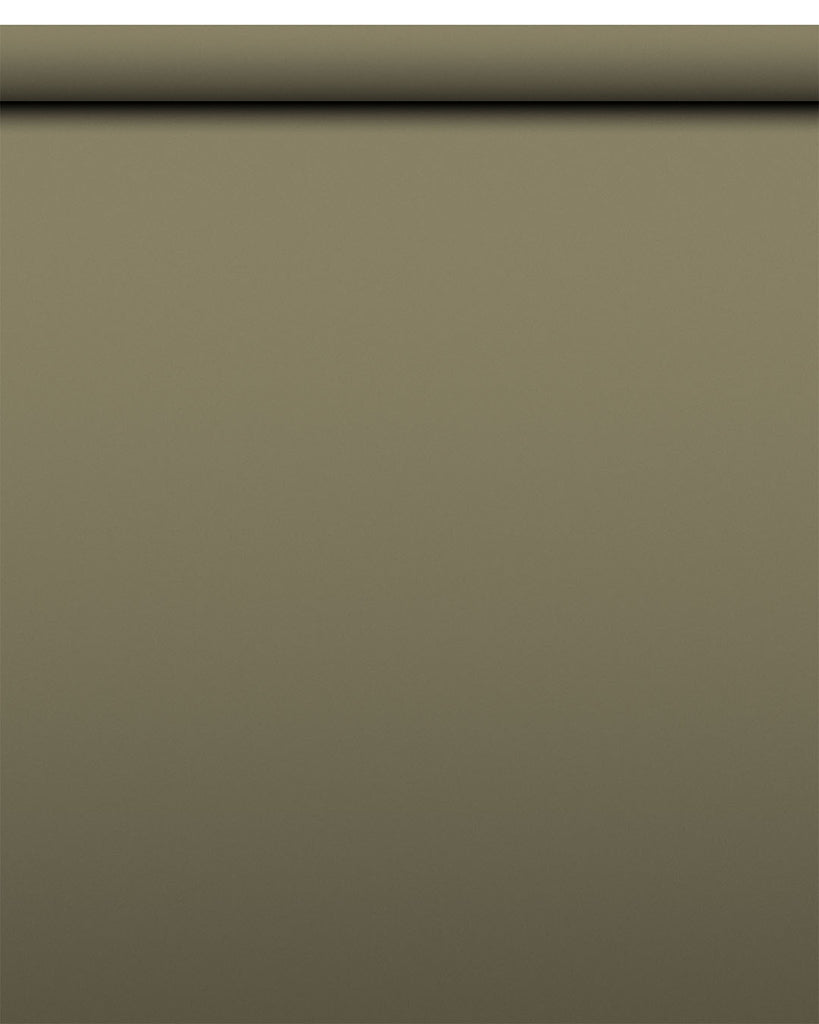 IndusLite Olive Green Paper Backdrop Roll (INDL-21) image 1