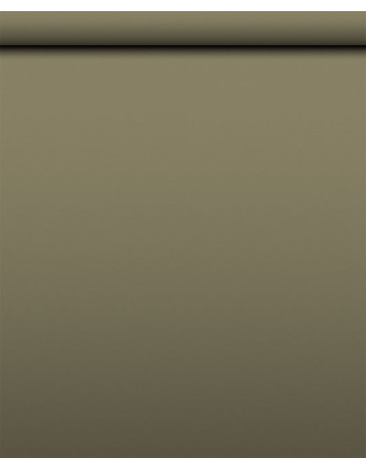 IndusLite Olive Green Paper Backdrop Roll (INDL-21) image 1