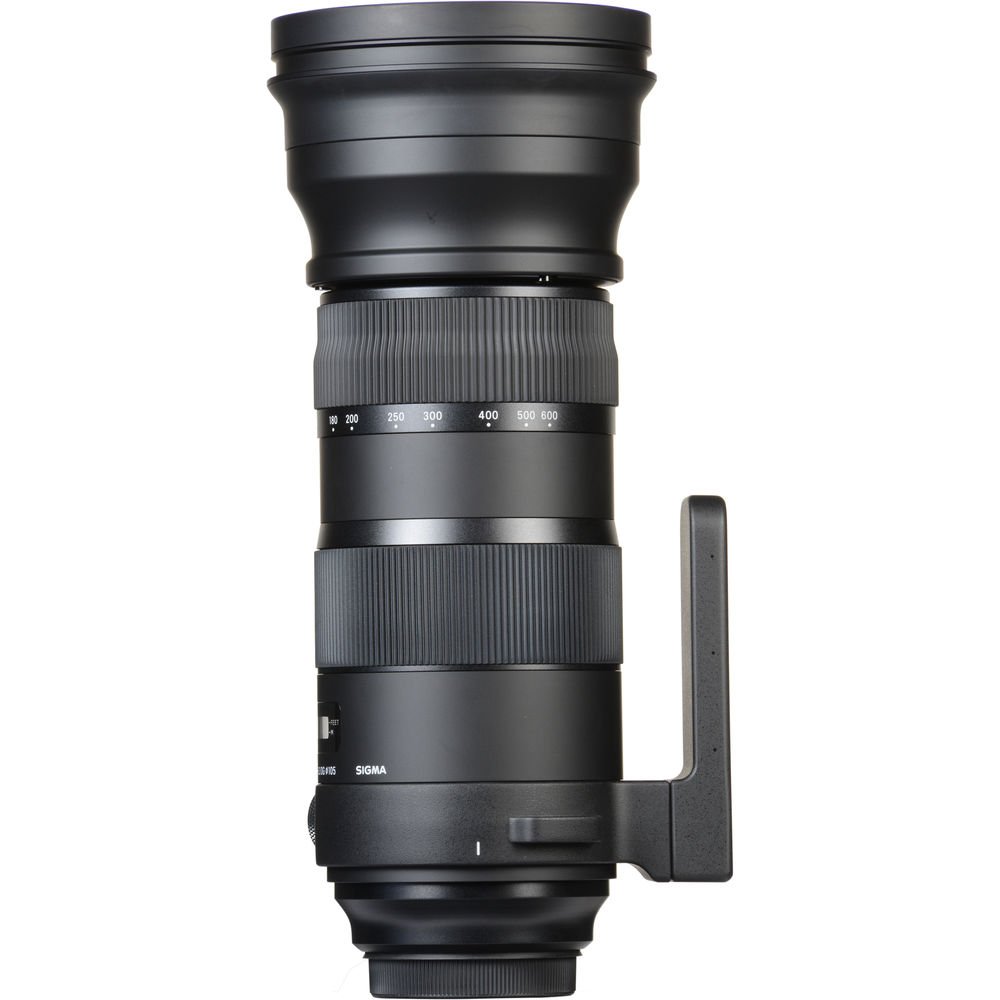 Sigma 150-600mm f/5-6.3 DG OS HSM Sports Lens for Canon EF image 1
