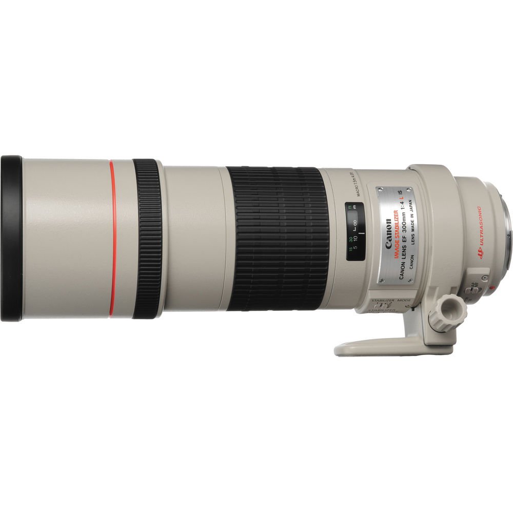 Canon EF 300mm f/4L IS USM Lens image 4