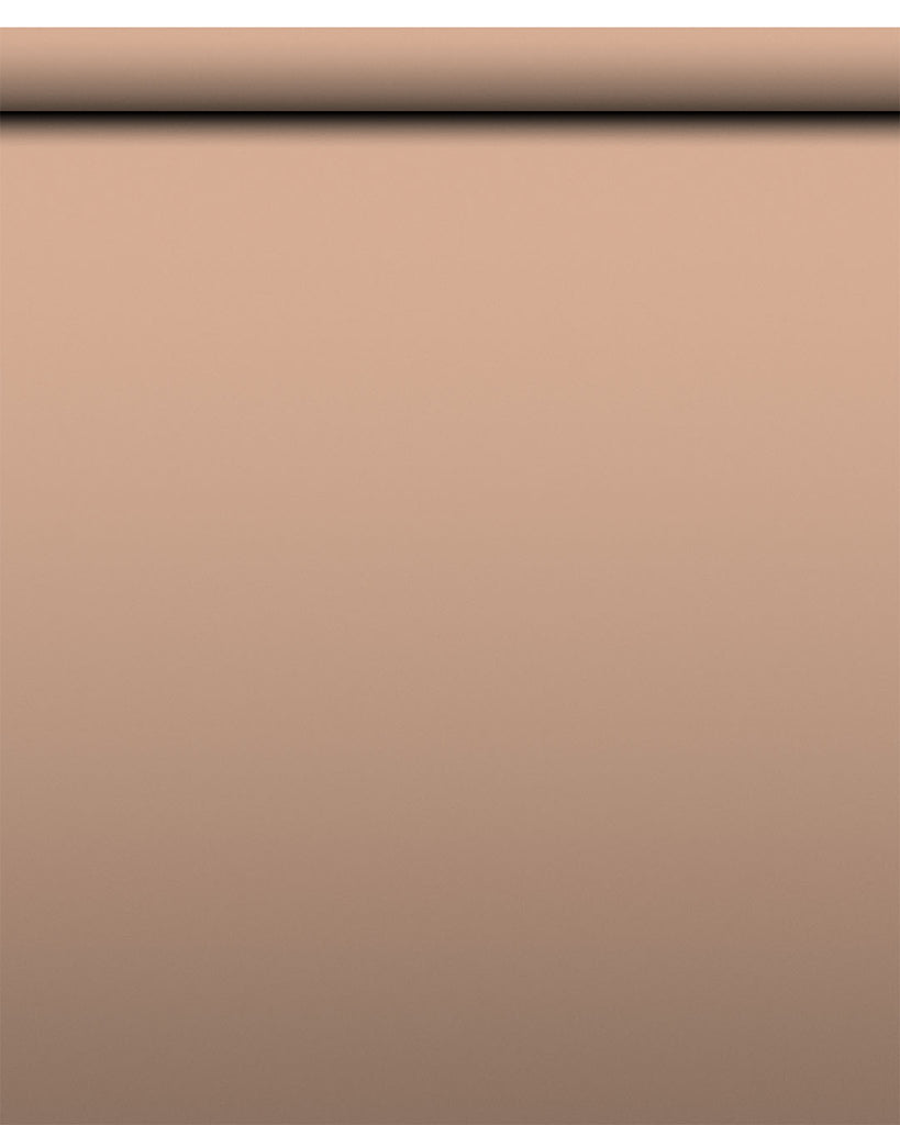 IndusLite Beige Paper Backdrop Roll (INDL-24) image 1
