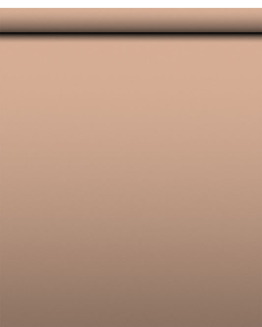 IndusLite Beige Paper Backdrop Roll (INDL-24) image 1