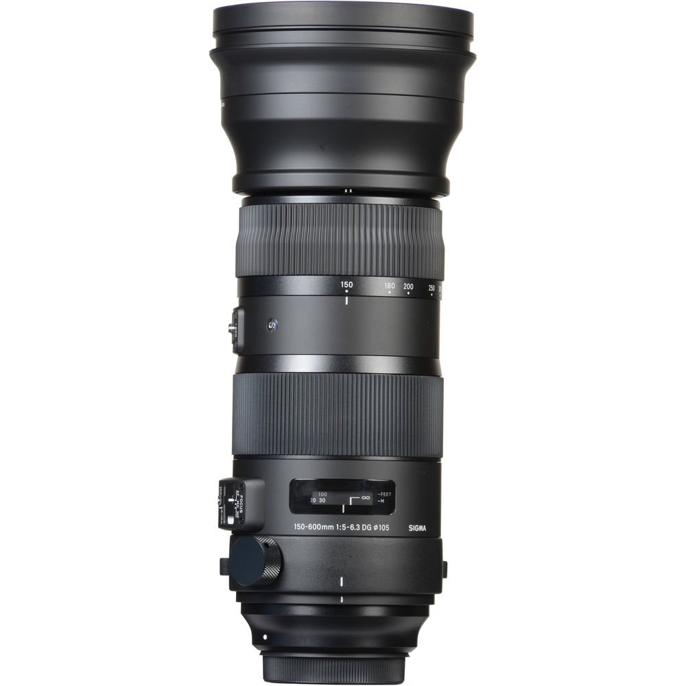 Sigma 150-600mm f/5-6.3 DG OS HSM Sports Lens for Canon EF image 4