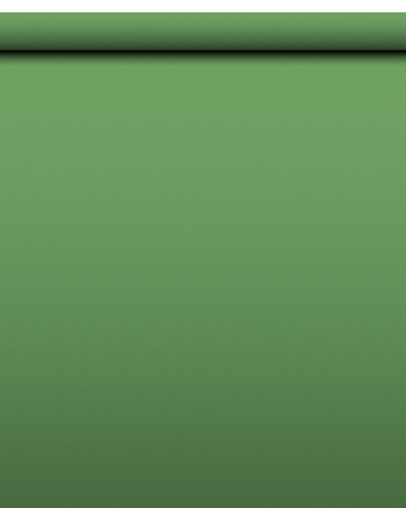 IndusLite Chroma Green Paper Backdrop Roll (INDL-13) image 2