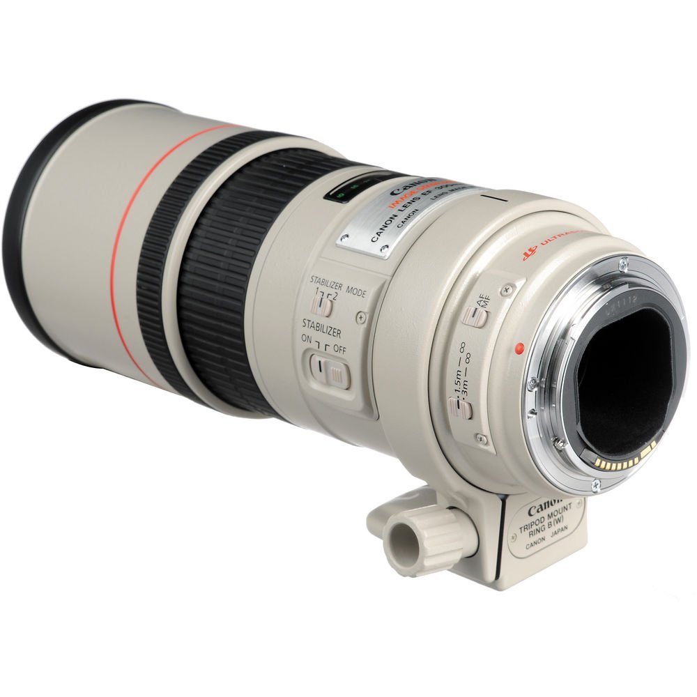 Canon EF 300mm f/4L IS USM Lens image 2