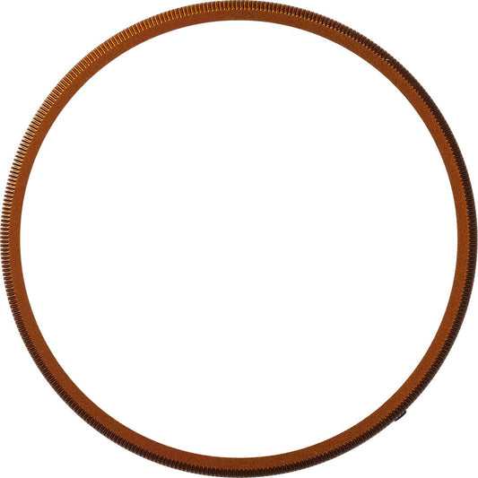 Ricoh GN-2 Ring Cap (Bronze) image 1